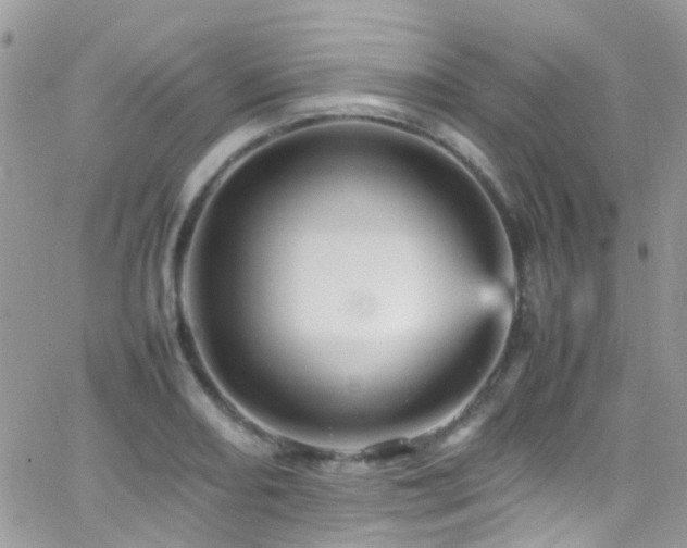 X0000066541082200603171235