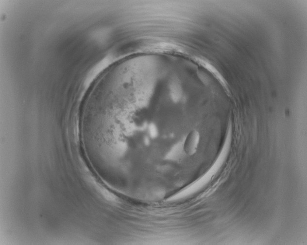 X0000066541083200603171235