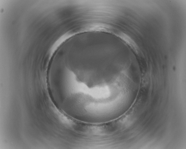 X0000066541086200603171235