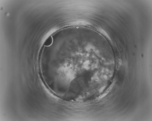 X0000066541087200603171235