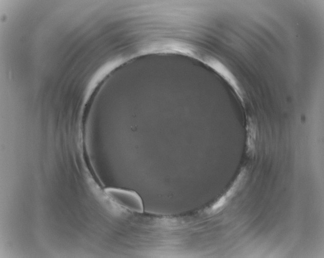 X0000066541088200603171235