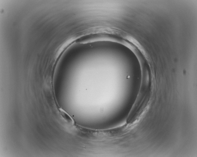 X0000066541089200603171234