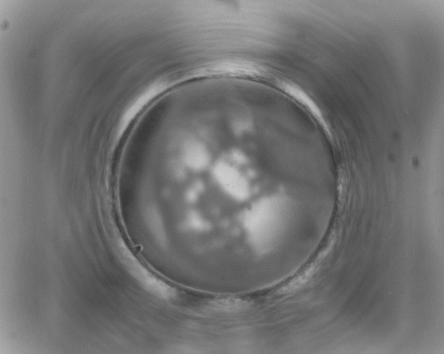 X0000066541091200603171234