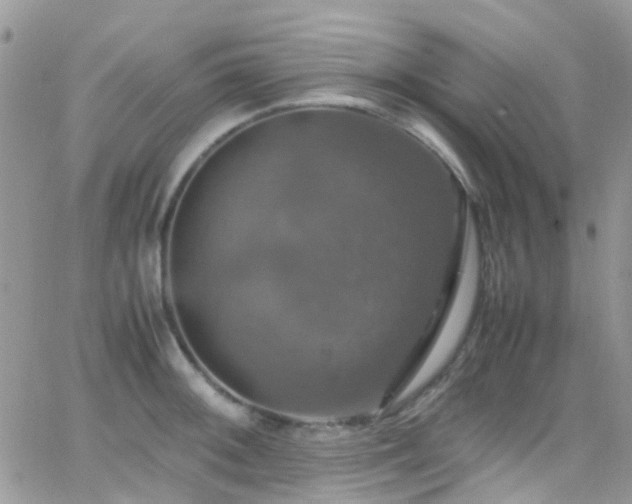 X0000066541092200603171234