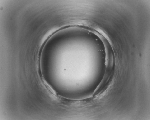 X0000066541093200603171234