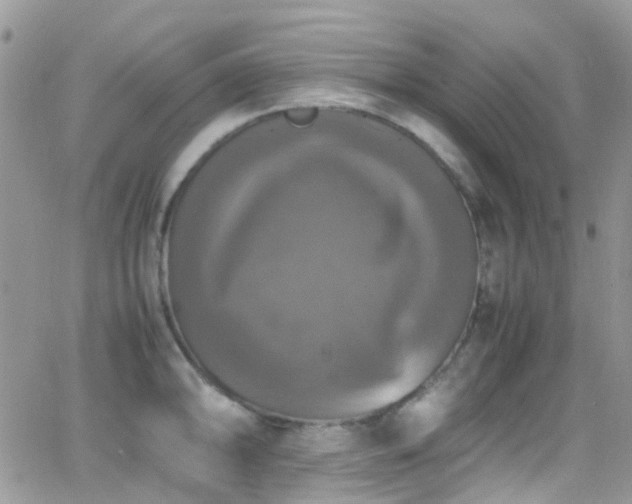 X0000066541094200603171234