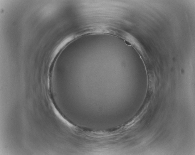 X0000066541095200603171234