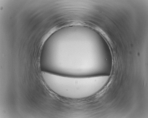 X0000066541097200603171234