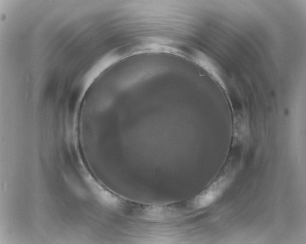 X0000066541098200603171234