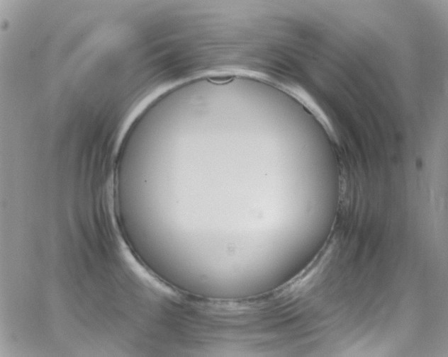 X0000066541100200603171234