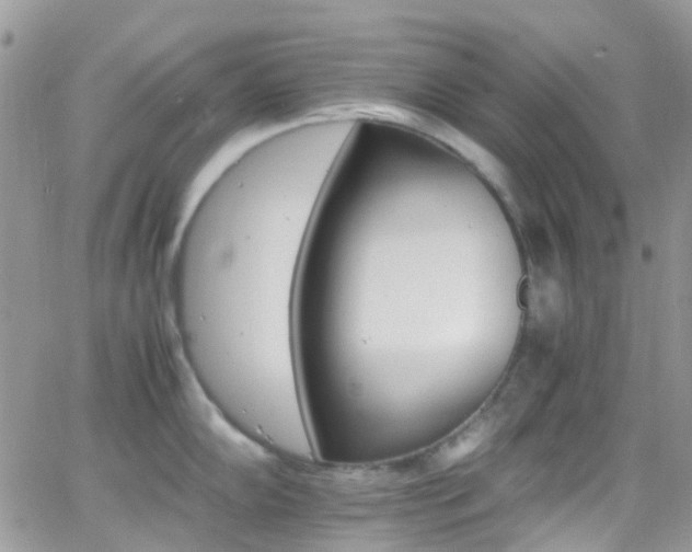 X0000066541102200603171234