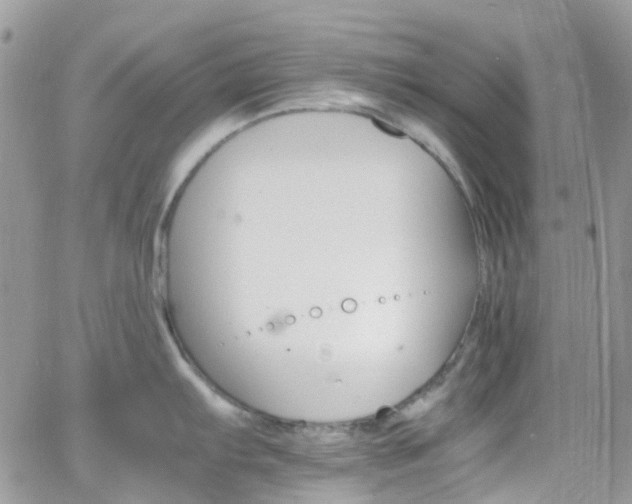 X0000066541103200603171234