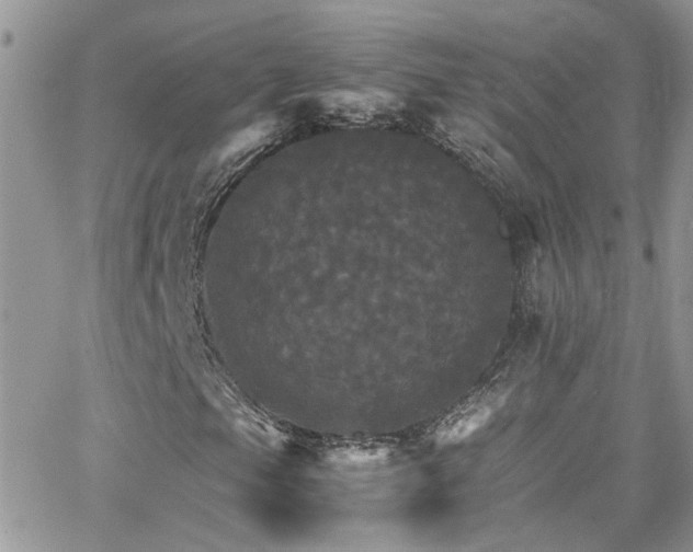 X0000066541105200603171233