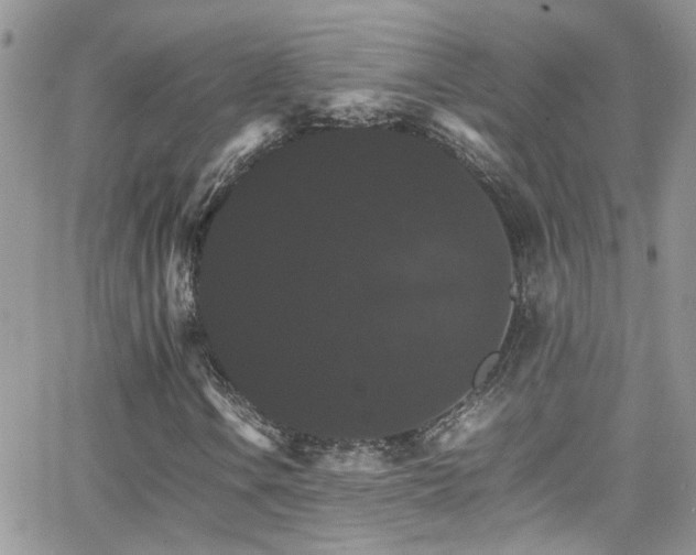 X0000066541106200603171233