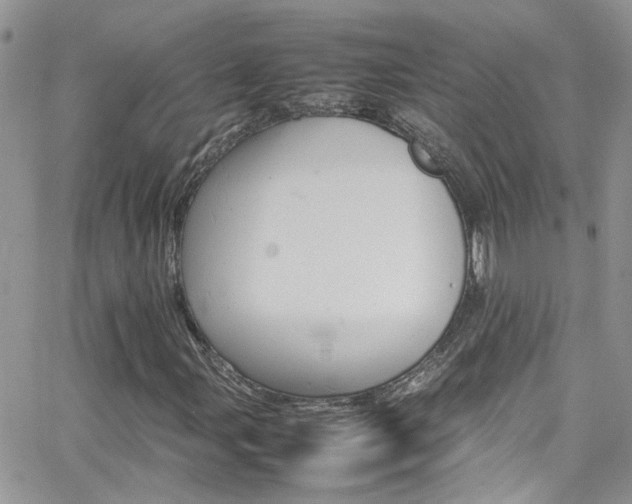 X0000066541107200603171233