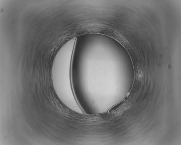 X0000066541108200603171234