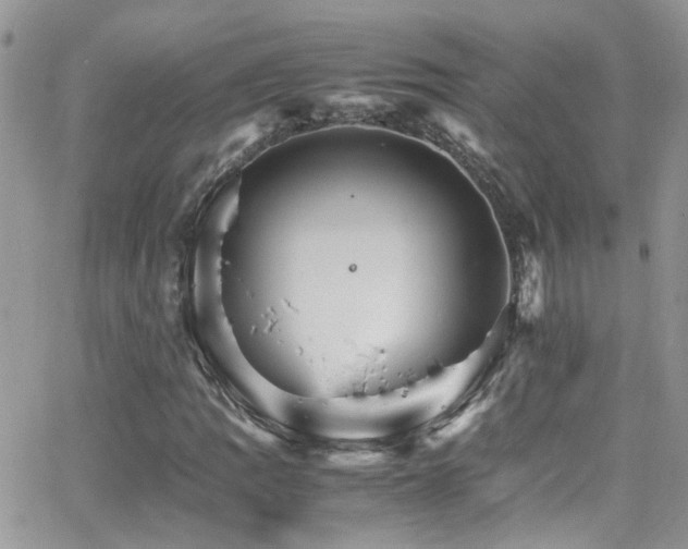 X0000066541109200603171234