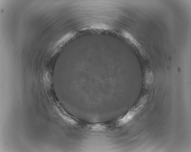 X0000066541110200603171234