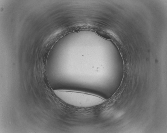 X0000066541111200603171234