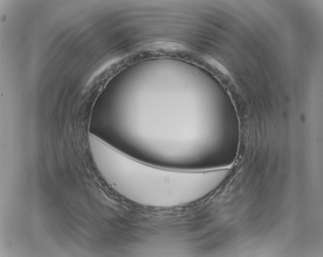 X0000066541112200603171234