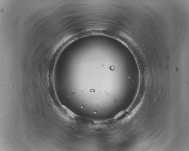 X0000066541113200603171234