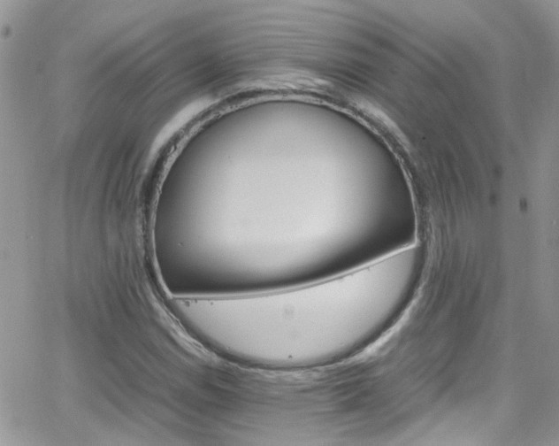 X0000066541114200603171234