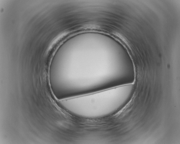 X0000066541115200603171234