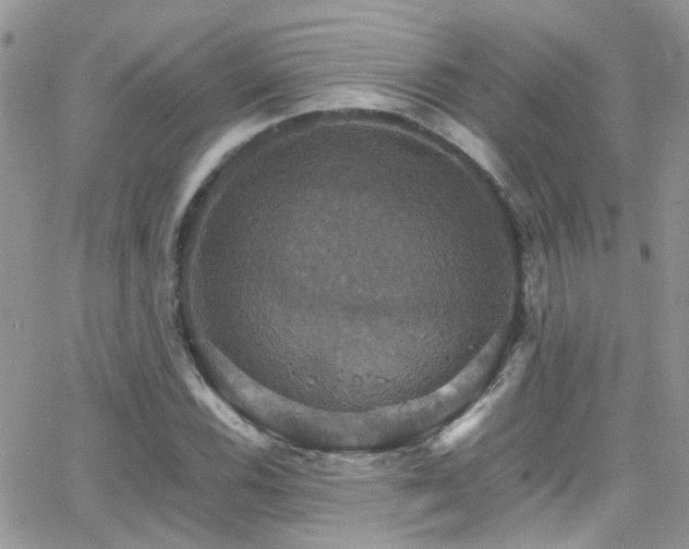 X0000066541116200603171234