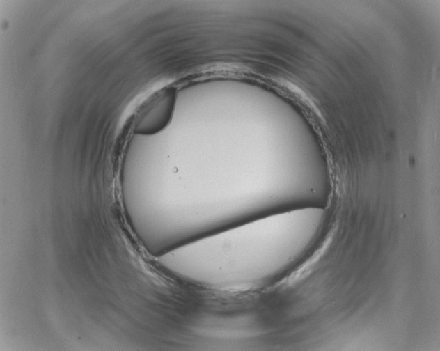 X0000066541117200603171234