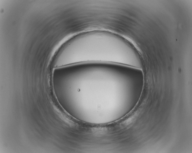 X0000066541118200603171234