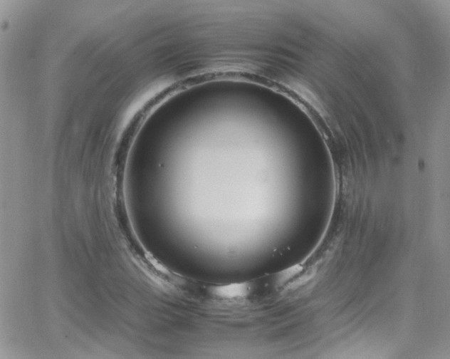 X0000066541119200603171234