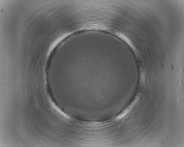 X0000066541120200603171234