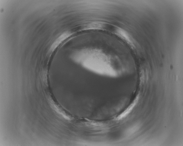 X0000066541121200603171234