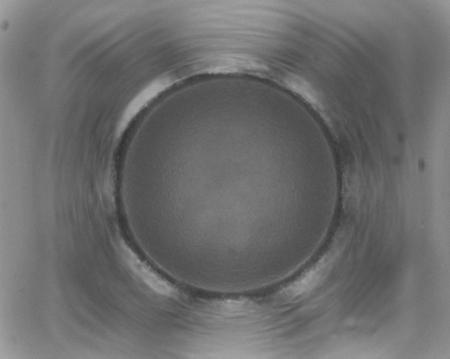 X0000066541122200603171234