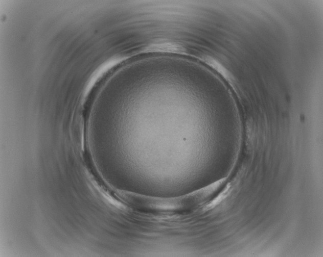 X0000066541123200603171234