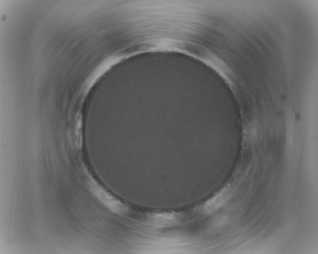 X0000066541126200603171234