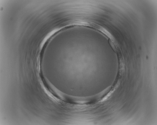 X0000066541128200603171234