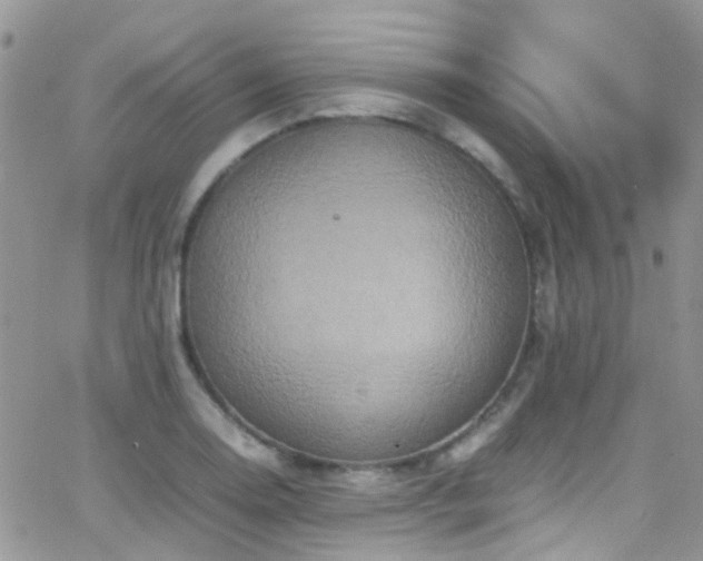 X0000066541130200603171234