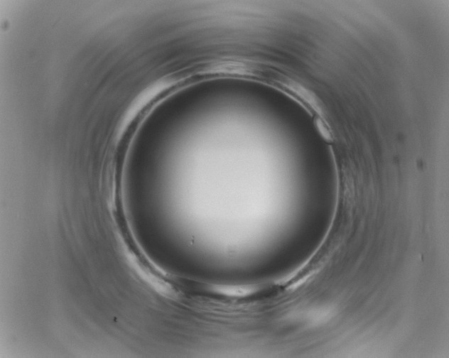 X0000066541131200603171234