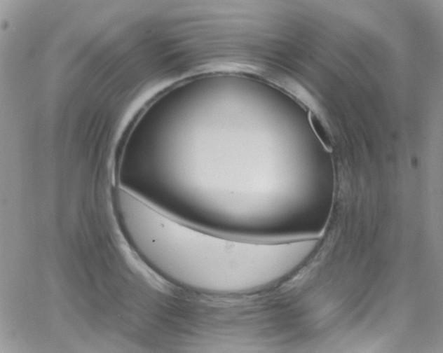 X0000066541132200603171234