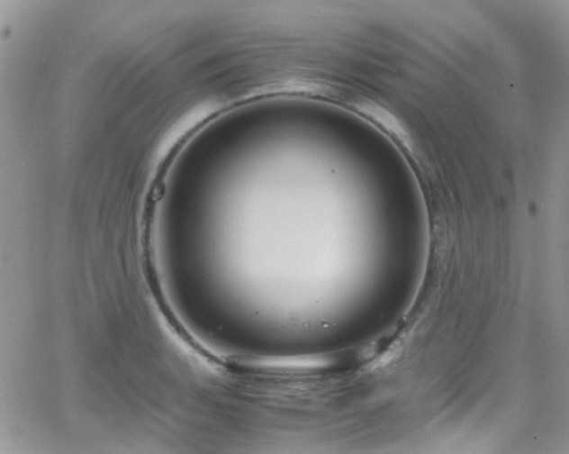 X0000066541135200603171234