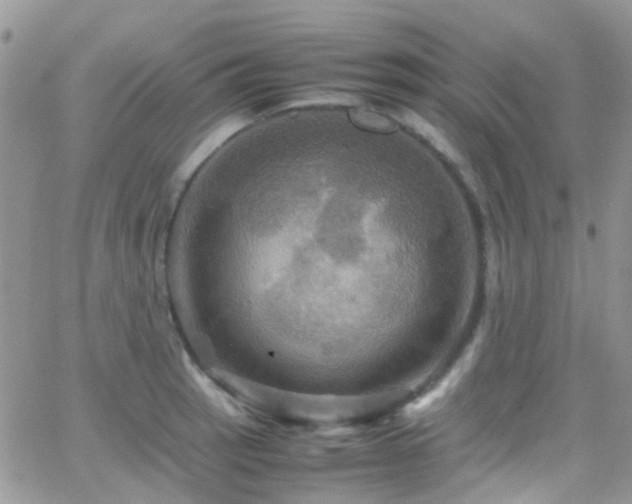 X0000066541137200603171234