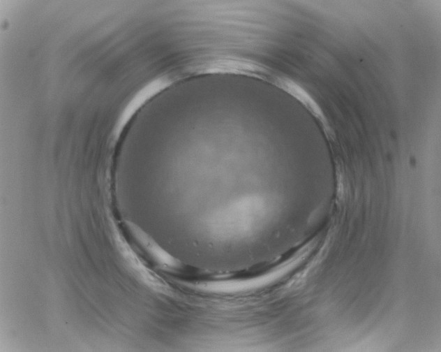 X0000066541138200603171234