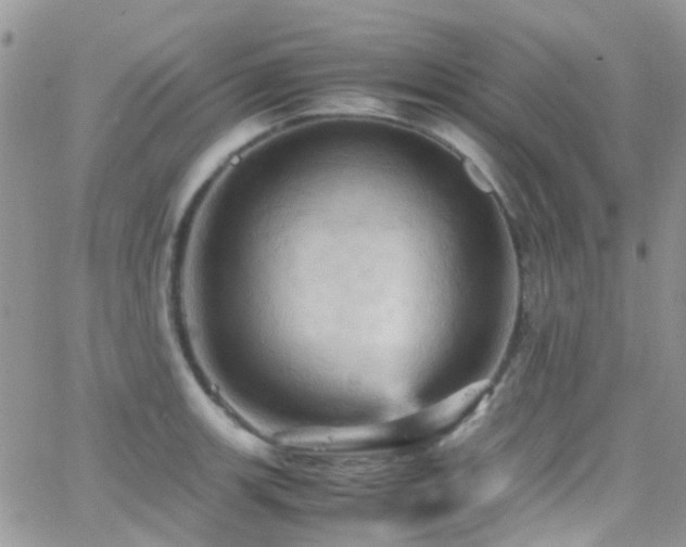 X0000066541139200603171234