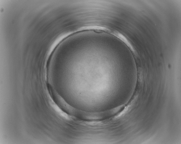 X0000066541140200603171234