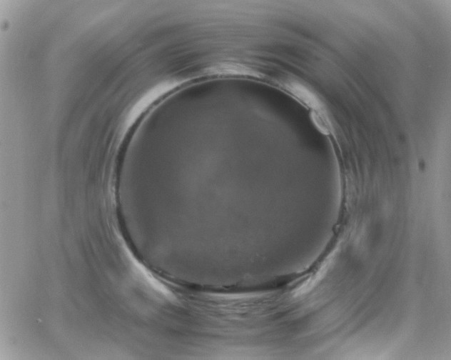 X0000066541141200603171234