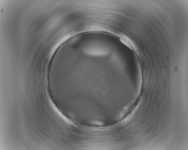 X0000066541142200603171234