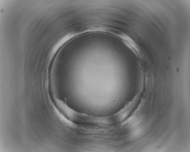 X0000066541143200603171234