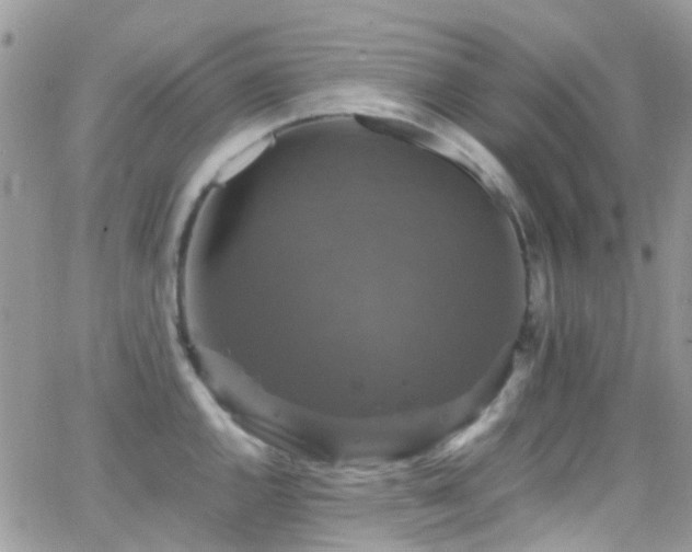 X0000066541144200603171234