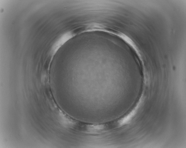 X0000066541145200603171234